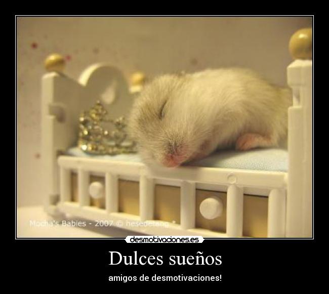 Dulces sueños - amigos de desmotivaciones!