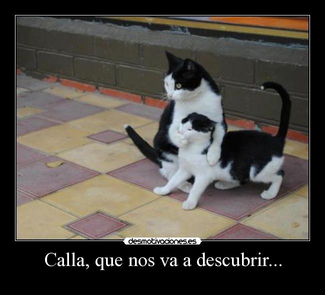 Calla, que nos va a descubrir... - 