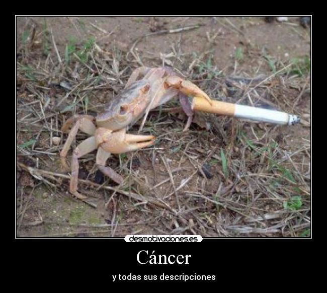 Cáncer - y todas sus descripciones