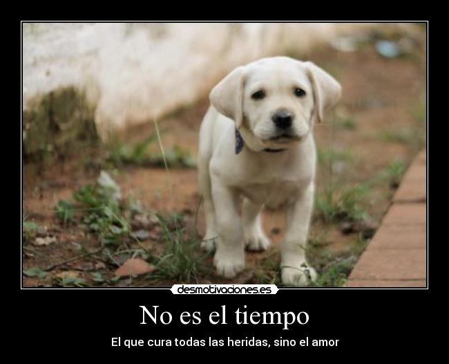 No es el tiempo - El que cura todas las heridas, sino el amor