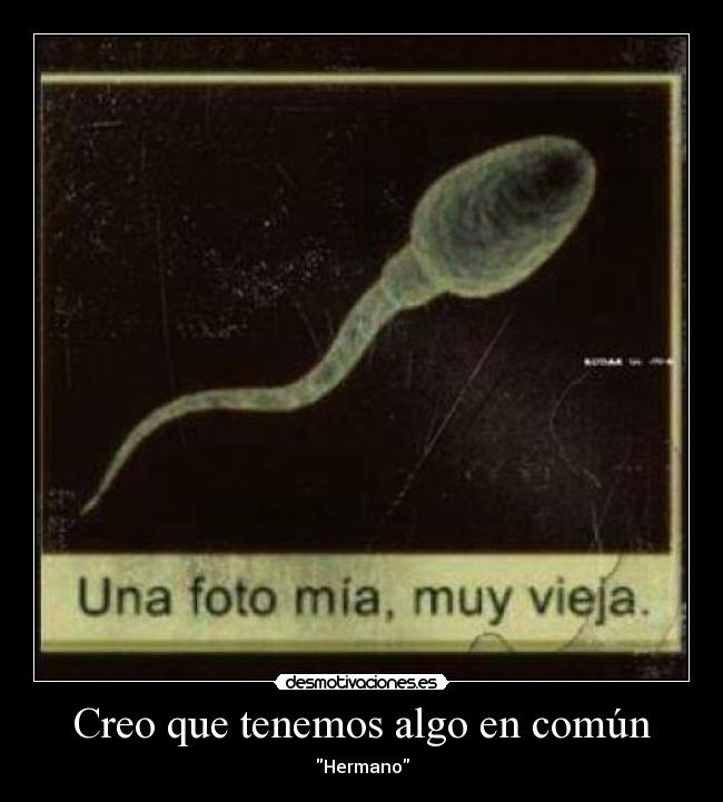 Creo que tenemos algo en común -