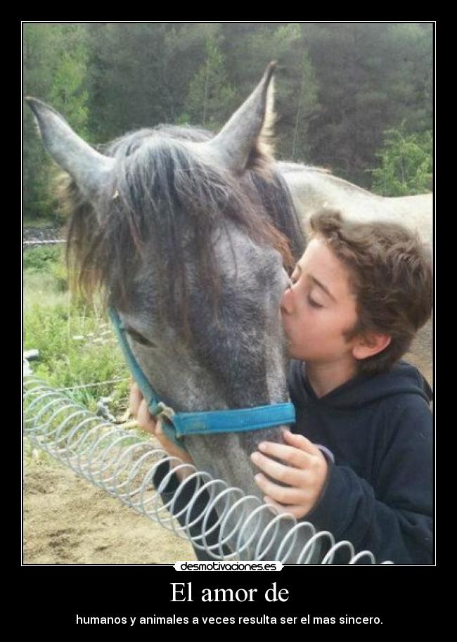 carteles amor desmotivaciones carteles desmotivaciones