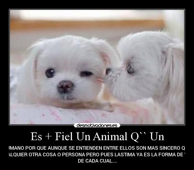 carteles zimplemente katherine desmotivaciones