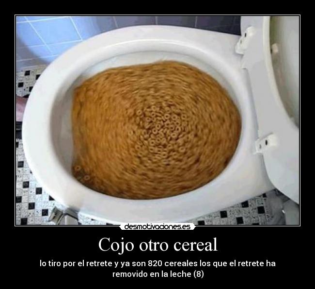 Cojo otro cereal - lo tiro por el retrete y ya son 820 cereales los que el retrete ha removido en la leche (8)