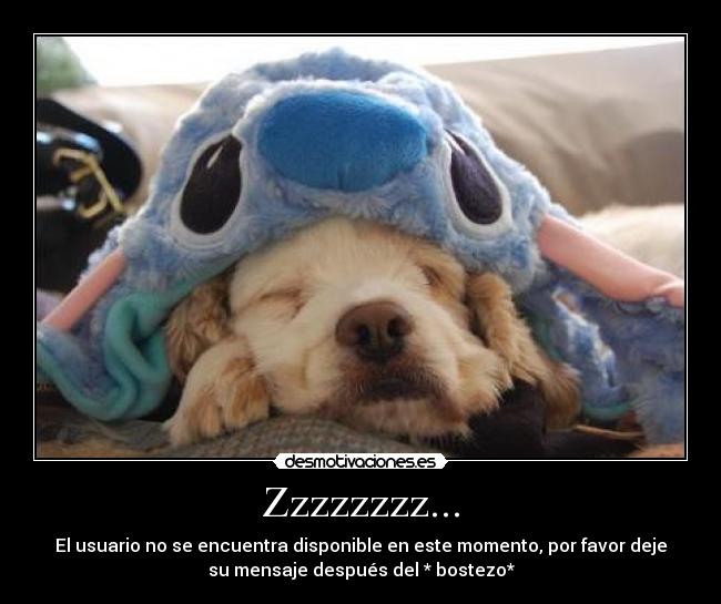 Zzzzzzzz... - El usuario no se encuentra disponible en este momento, por favor deje
su mensaje después del * bostezo*