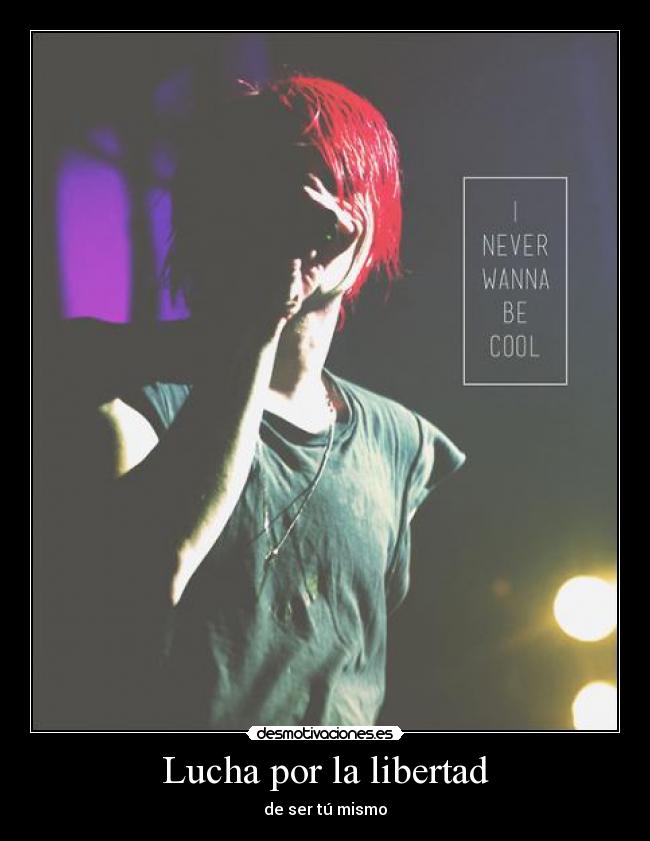 Lucha por la libertad - 