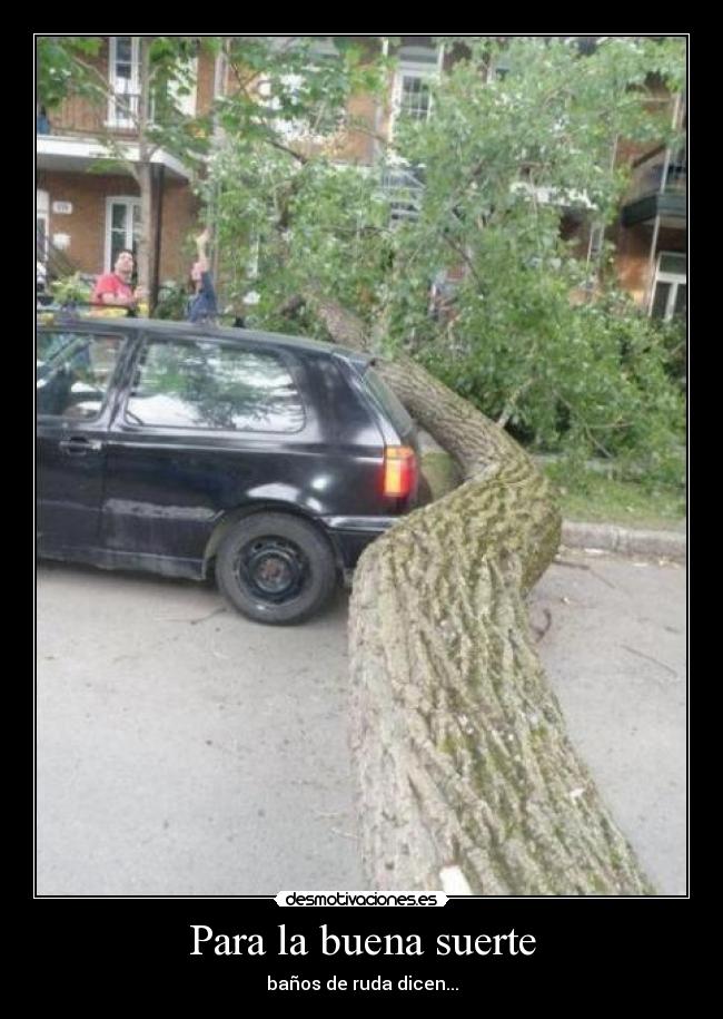 Para la buena suerte - baños de ruda dicen...