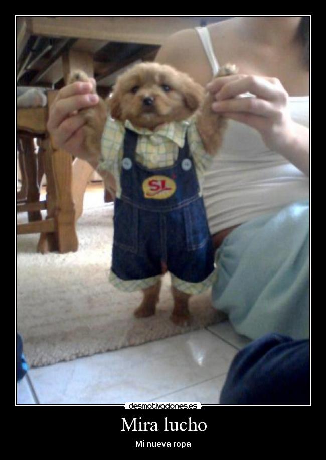 Mira lucho - Mi nueva ropa