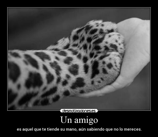 Un amigo - es aquel que te tiende su mano, aún sabiendo que no lo mereces.