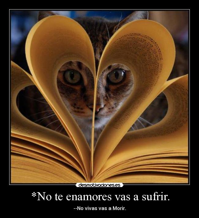 *No te enamores vas a sufrir. - --No vivas vas a Morir.