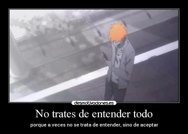 No trates de entender todo -