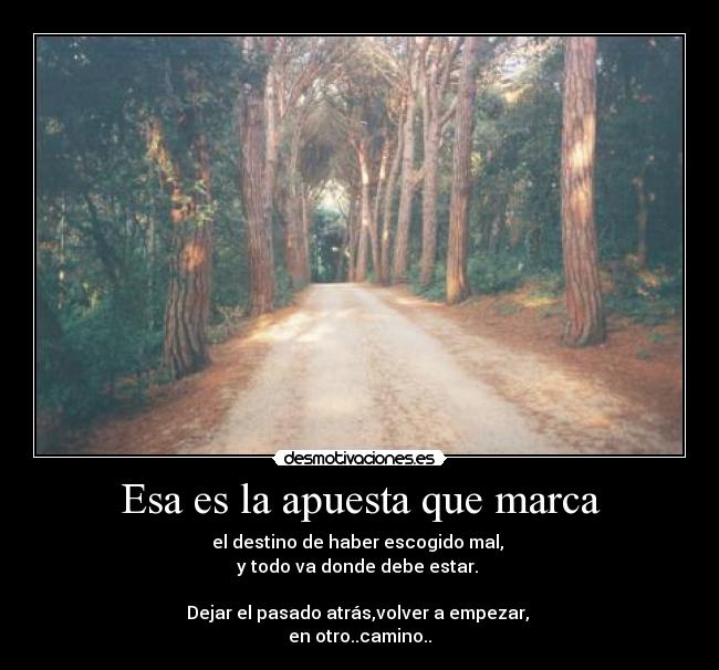 Esa es la apuesta que marca -