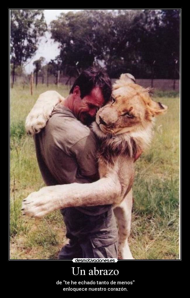 Un abrazo - 