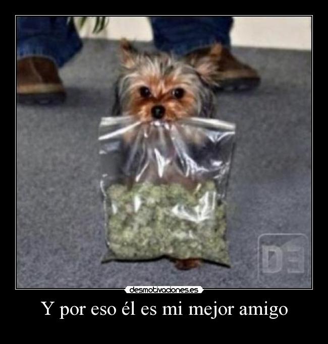 Y por eso él es mi mejor amigo -