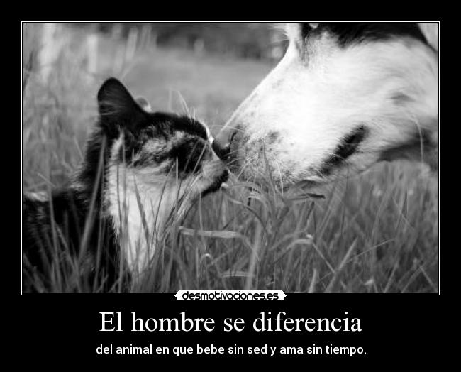 El hombre se diferencia - del animal en que bebe sin sed y ama sin tiempo.