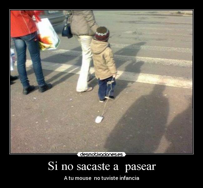 Si no sacaste a  pasear - 