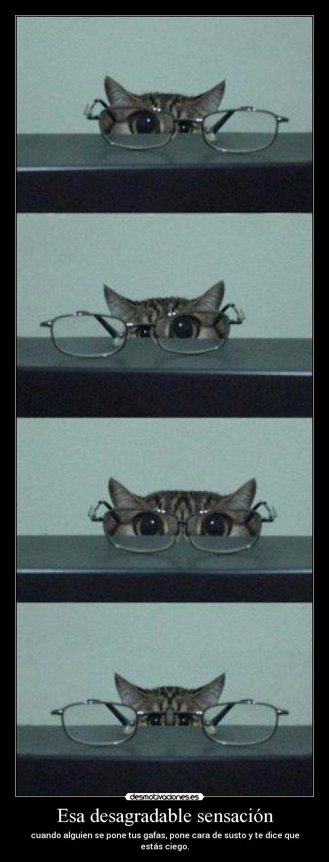 Esa desagradable sensación - cuando alguien se pone tus gafas, pone cara de susto y te dice que estás ciego.