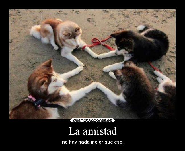 La amistad - no hay nada mejor que eso.