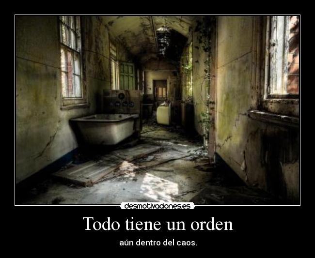 Todo tiene un orden - aún dentro del caos.