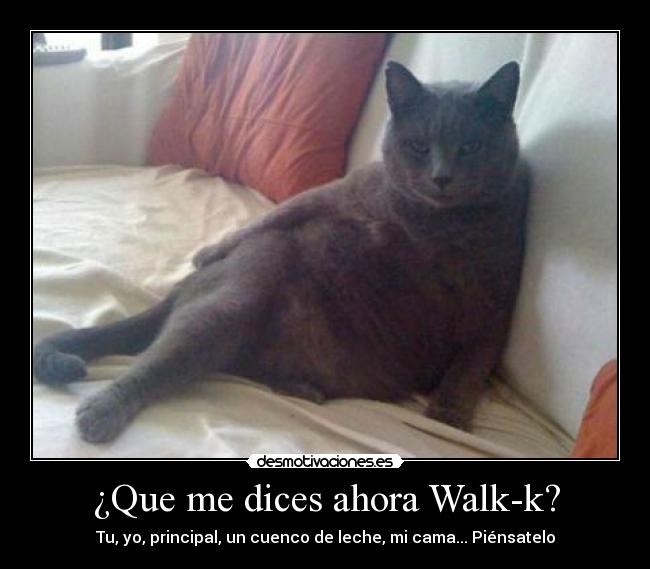 ¿Que me dices ahora Walk-k? - Tu, yo, principal, un cuenco de leche, mi cama... Piénsatelo