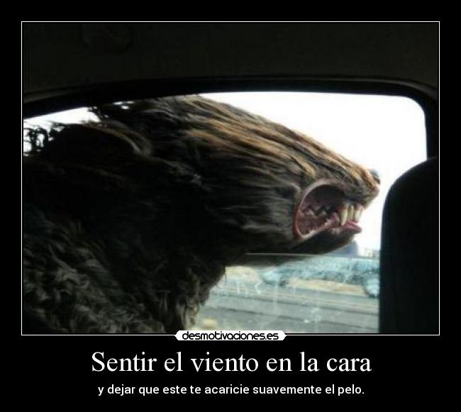 Sentir el viento en la cara - y dejar que este te acaricie suavemente el pelo.