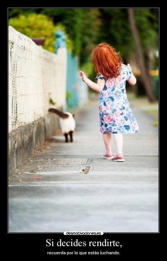 Si decides rendirte, - 