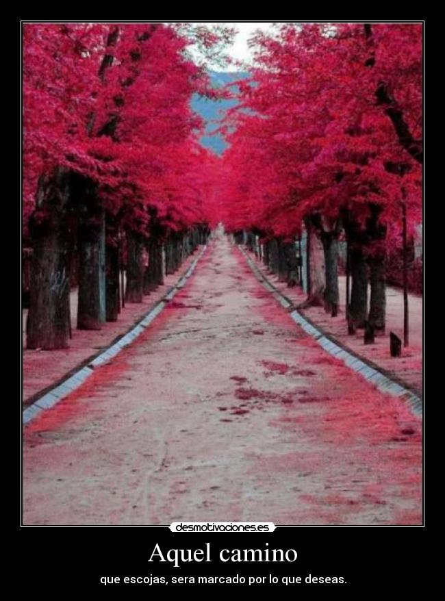 Aquel camino - que escojas, sera marcado por lo que deseas.