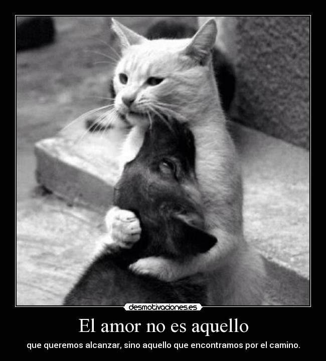 El amor no es aquello - que queremos alcanzar, sino aquello que encontramos por el camino.