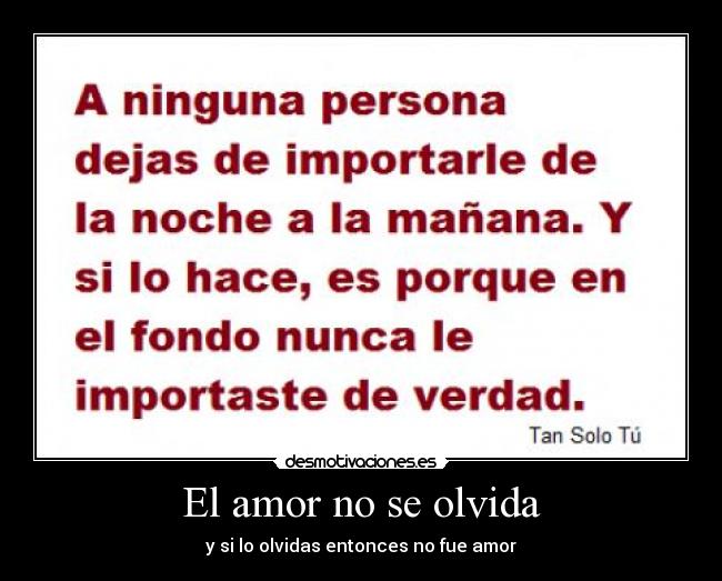 El amor no se olvida -