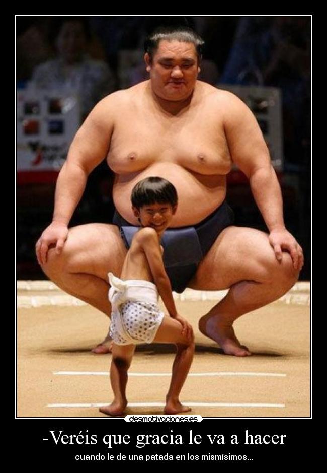 -Veréis que gracia le va a hacer -