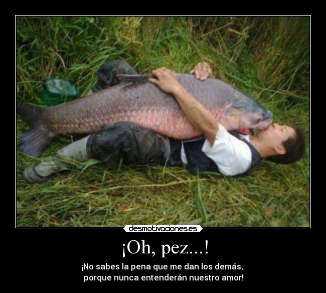¡Oh, pez...! - ¡No sabes la pena que me dan los demás, 
porque nunca entenderán nuestro amor!