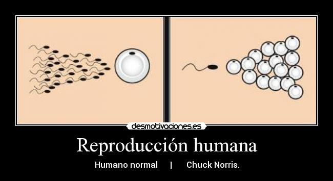 Reproducción humana -