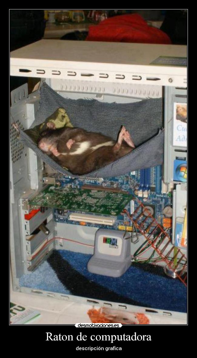 carteles raton computadora desmotivaciones