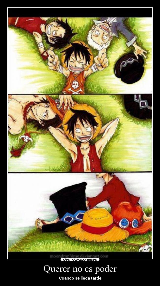 carteles querer luffy porta rapd desmotivaciones