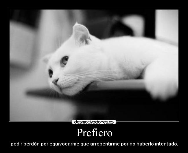 carteles perdon error arrepentimiento equivocasion desmotivaciones