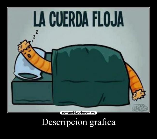 Descripcion grafica -