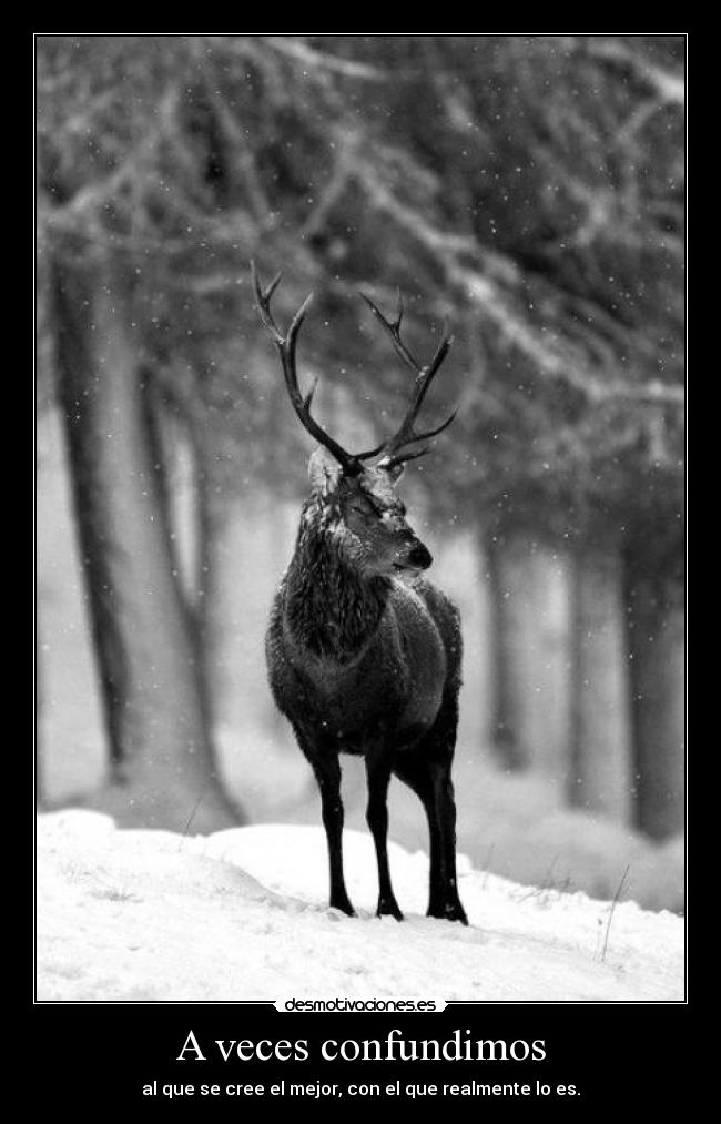 A veces confundimos - al que se cree el mejor, con el que realmente lo es.