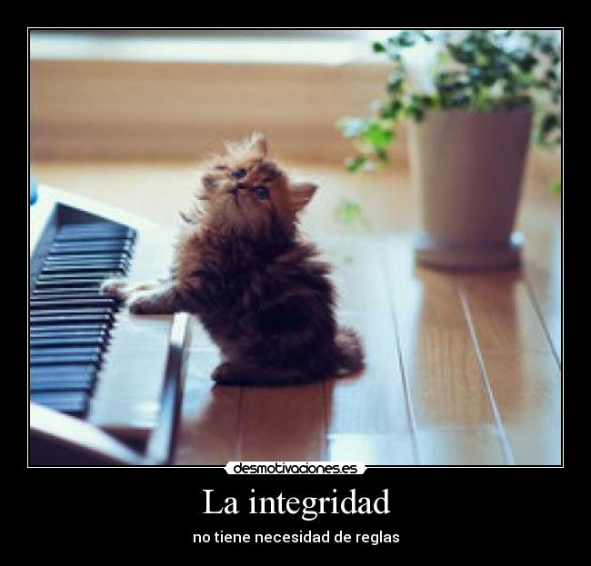 integridad
