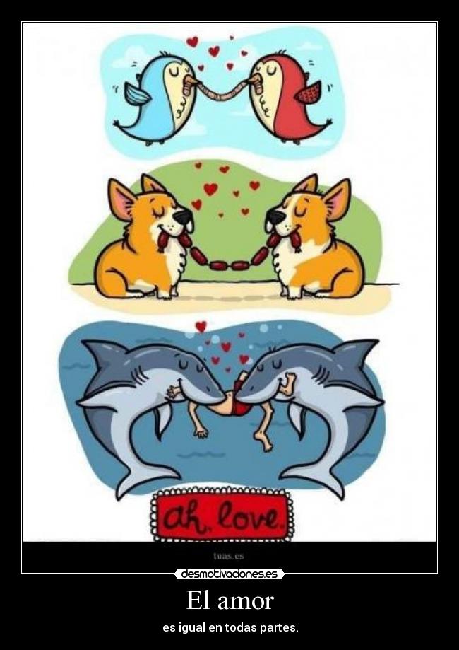 El amor -