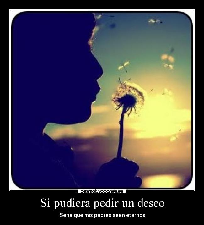 Si pudiera pedir un deseo - 