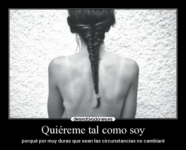 carteles sin categoria desmotivaciones