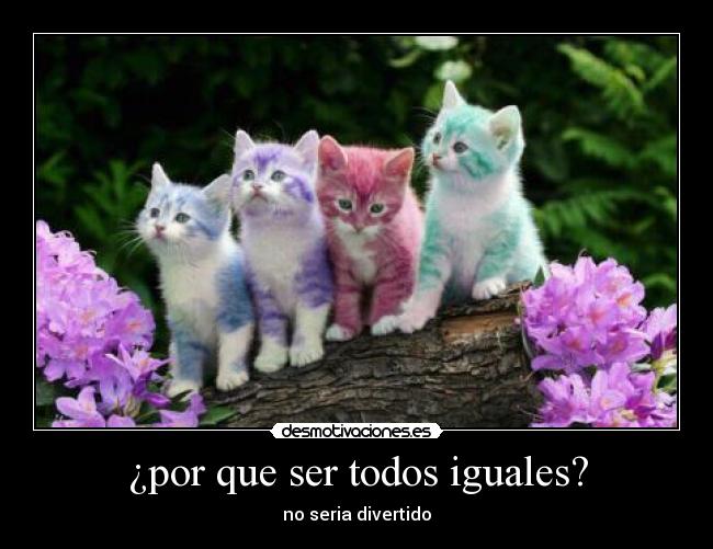 ¿por que ser todos iguales? -