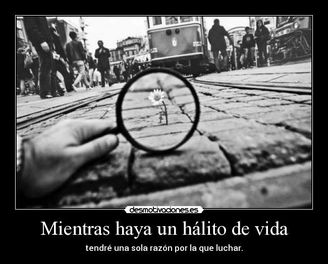 carteles vida desmo02 unicorniosfelices clankiwi clanladrillos srital vuelvo participar desmotivaciones