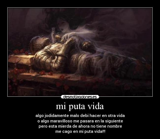 mi puta vida - 