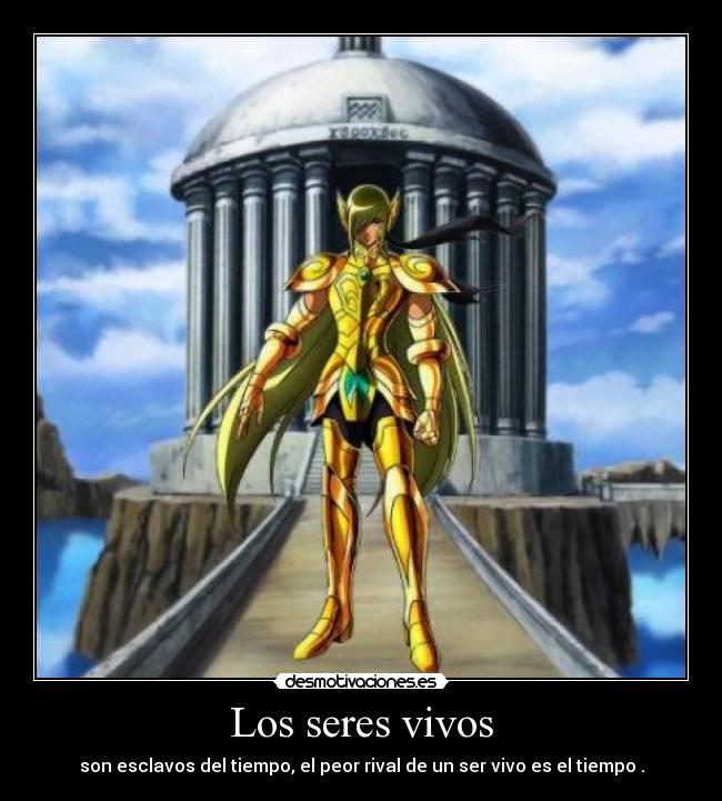 carteles saint seiya desmotivaciones