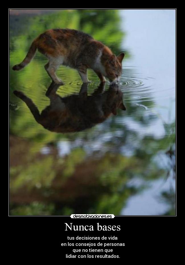 Nunca bases -