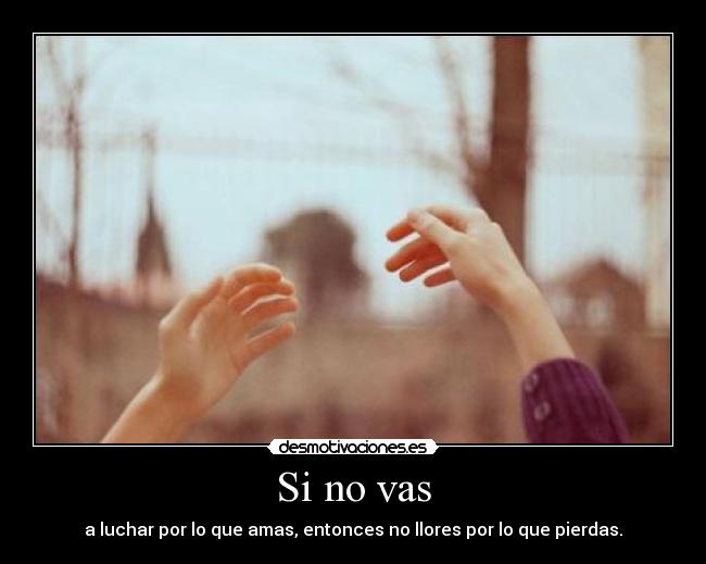 Si no vas - a luchar por lo que amas, entonces no llores por lo que pierdas.