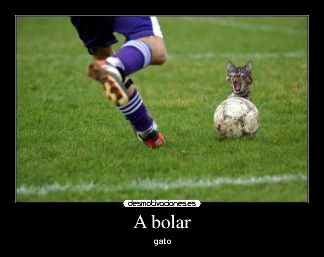 carteles gato desmotivaciones