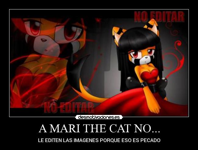 A MARI THE CAT NO... - LE EDITEN LAS IMAGENES PORQUE ESO ES PECADO