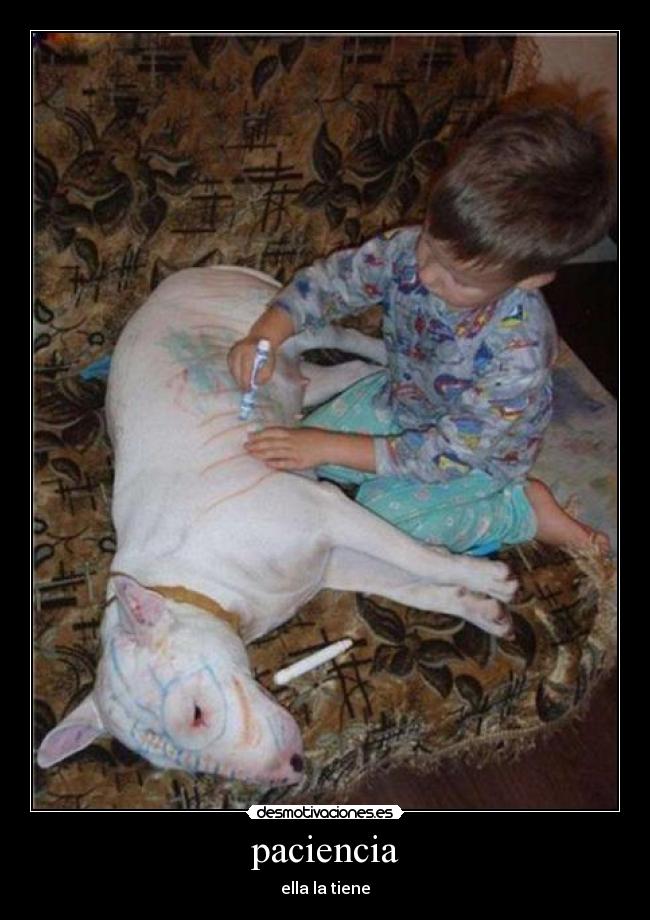 paciencia -